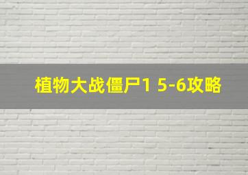 植物大战僵尸1 5-6攻略